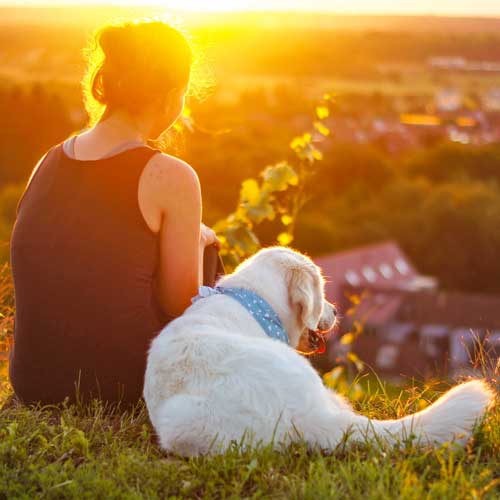 Hundeschule Freiburg - junge Frau mit Hund im Sonnenuntergang