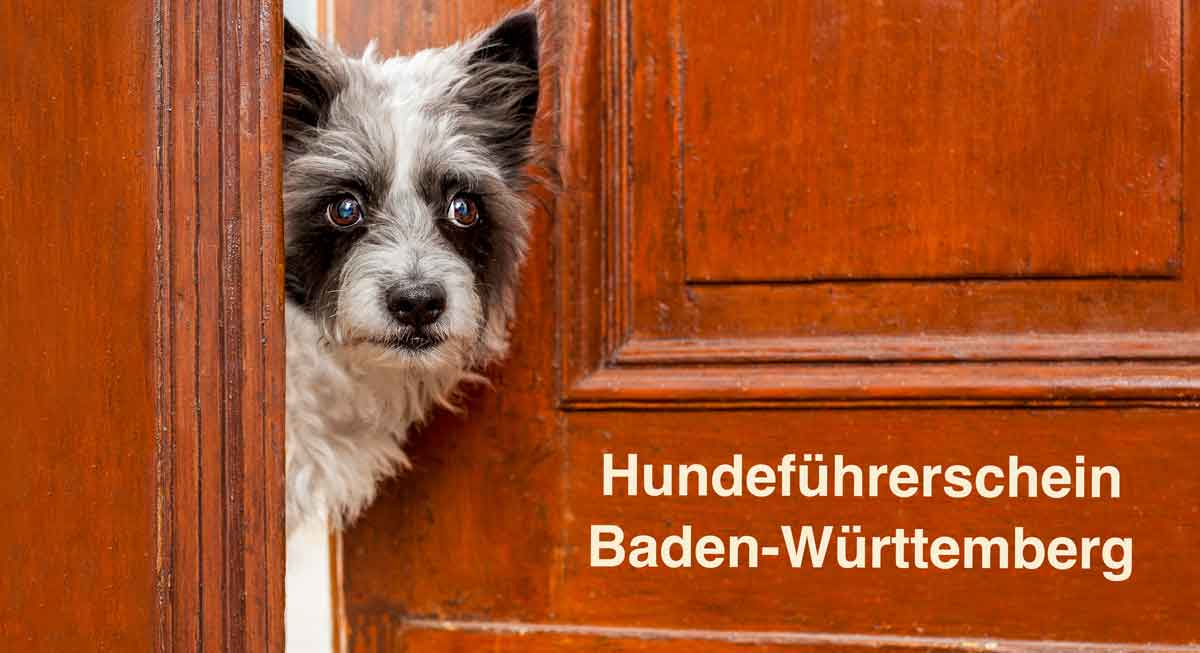 Hundeführerschein Baden-Württemberg