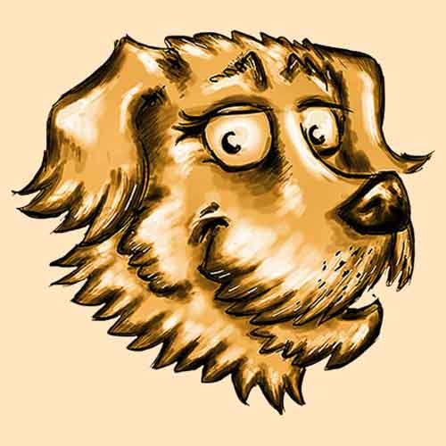 Hundekopf - Zeichnung