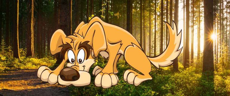 Nasenarbeit verloren Suche - suchender Hund im Wald